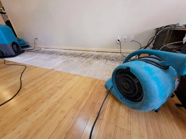 Professional Structural Drying technician working in Greenbrae, CA